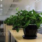 擺放電腦辦公桌最理想的方位 擺放電腦辦公桌最理想的方位